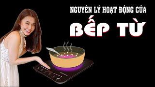 Bếp Từ Hoạt Động Như Thế Nào? Hiểu rõ trong 5 phút