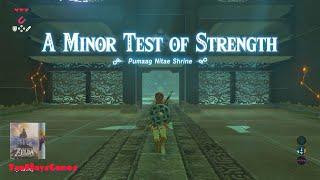 Pumaag Nitae Shrine Walkthrough - The Legend of Zelda Breath of the Wild.