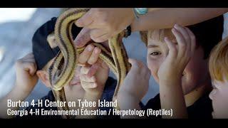 Burton 4-H Center at Tybee Island  Herpetology Reptiles