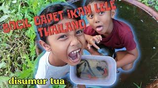 BOCIL NANGKEP IKAN LELE THAILAND IKAN PREDATOR IKAN HIAS DI SUMUR TUA