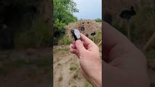 Seecamp .32 ACP Smallest Pistol Ever