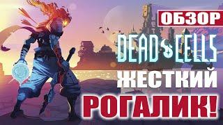 Dead Cells - Обзор PS4. Очень жесткий рогалик