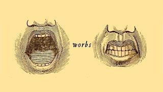 1. Worbs when political terms have no meaning  What is Politics?