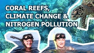 Coral reefs climate change and nitrogen pollution - Exploring the issues at Thoddoo Island