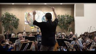 Arlington Philharmonic Orchestra Profile