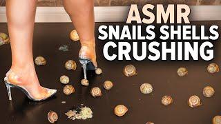 ASMR  Snails Shells Crushing with Transparent High Heels