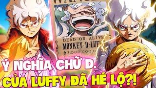 Ý NGHĨA CHỮ D. CỦA LUFFY ĐÃ ĐƯỢC HÉ LỘ?  TÁC GIẢ TIẾT LỘ SỰ THẬT VỀ CHỮ D. TRONG TÊN?