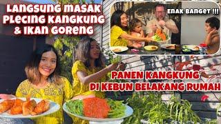 PANEN KANGKUNG DI KEBUN BELAKANG RUMAH LANGSUNG MASAK PLECING KANGKUNG DAN IKAN GORENG