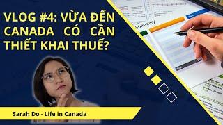 Vlog #4 Khai Thuế Vừa đến Canada có cần phải khai thuế?  Cuộc Sống Canada  Life In Canada