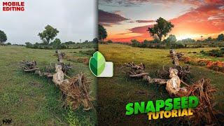 Make Your Mobile Pictures go Viral with These Editing Tricks  Snapseed Tutorial  Android  iPhone