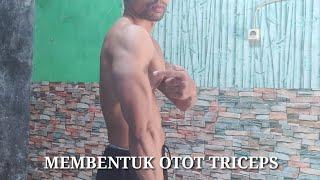 membentuk triceps