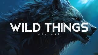 Wild Things - JON CAR LYRICS