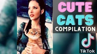 Most Adorable Cats on TikTok Compilation