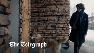 Russia releases bizarre dog propaganda video as it calls for end to hate campaign