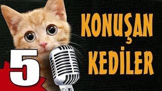 Konuşan Kediler 5 - En Komik Kedi Videoları