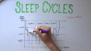 Sleep 5 Types of Sleep and Sleep Cycles