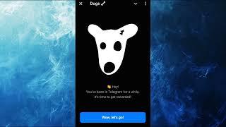 Dogs bot - получаем поинты за возраст вашего телеграм аккаунта. Никаких вложений привязок и т.д.