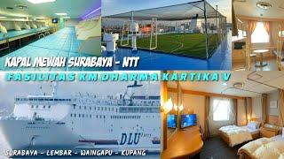 Penampakan Kapal Baru Super Mewah KM DHARMA KARTIKA V Rute Surabaya   Waingapu Kupang