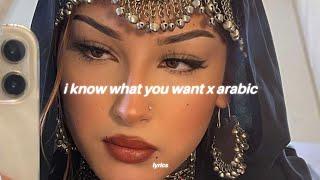 i know what you want x arabic ريمكس - شيرين - صبرى قليل tiktok song