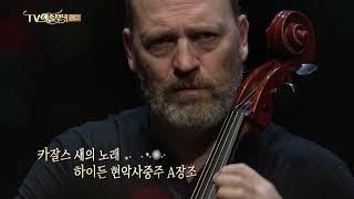 방송예고 카잘스 콰르텟Cuarteto Casals 내한공연 #새의노래 #포항음악제