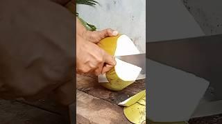 Sliced Coconut Peeling Styles coconut cutting knife #cuttingskills #coconutcuttingskills