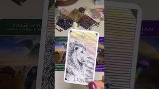 Leo This Message Is Meant To Find You #leo #leotarot #tarot #tarotreading