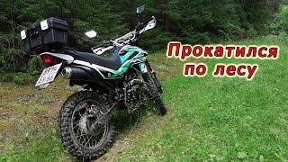 RACER PANTHER 250  Прокатился по лесу  Проба 4К