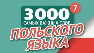   ПОЛЬСКИЕ СЛОВА – ЧАСТЬ #7 - 3000 самых важных слов 