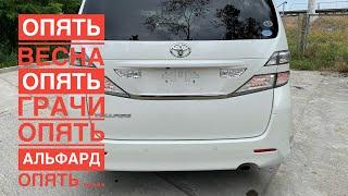 TOYOTA VELLFIRE 2010 - ПРОДАНО - ТОЙОТА АЛЬФАРД АЛПХАРД АЛФАРД ВЕЛЛФАЕР ТАЕТА КОРОЛЬ МИНИВЭНОВ