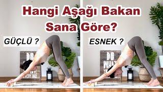 Hangi Aşağı Bakan Köpek Sana Göre?  Adho Mukha Svanasananın Tüm Detayları  Ayşe Kaya İle Yoga