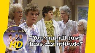 David and Sophia come to blows sans melon ball - Golden Girls HD