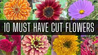 10 MUST HAVE Cut Flowers   Growing Cut Flowers  Cutting Garden  Zone 8  Flower Seeds