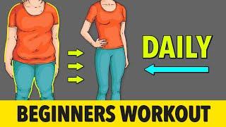 Daily Home Workout for Beginners Low Impact Full Body Routine