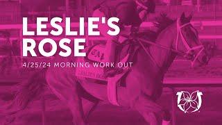 Leslies Rose Breezes at Churchill Downs in Preparation for the 150th Kentucky Oaks