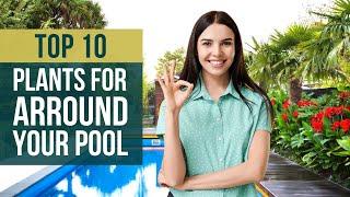 10 Best Plants for around a Pool  Swimming Pool Landscaping Ideas 