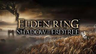 ELDEN RING NG+69-70  ДО DLC 10 дней