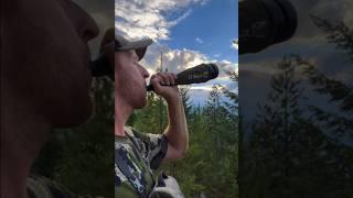 Locating Wolves. Turn up the Volume   #wolves #outdoors