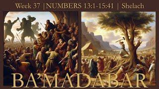 Torah Portions Week 37 NUMBERS 131-1541 Shelach BAMADABAR