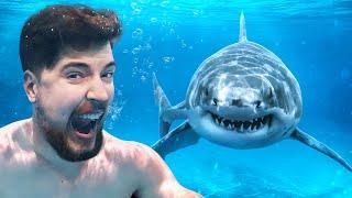 Would You Swim With Sharks For $100000?