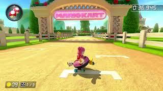 DS Peach Gardens 150cc - 202.512 - Vincent Mario Kart 8 Deluxe World Record