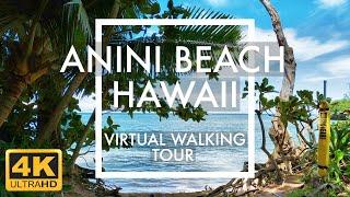 4K Anini Beach Kauai Hawaii  Virtual Walking Tour  Relaxing Travel Simulator