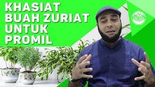 dr Zaidul Akbar - Khasiat Buah Zuriat untuk Promil