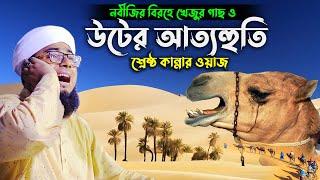 নবীজির বিরহে উস্তুনে হান্নানার কান্না ও উটের আত্মহত্যার ঘটনা।মুফতি জহিরুল ইসলাম ফরিদী