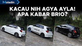 Komparasi Terlengkap Agya GR Sport VS Ayla 1.2 R ADS VS Brio RS  Jadi Pilih Mana?  Moladin