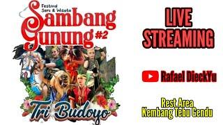 LIVE JATHILAN TRI BUDAYA BULU GIRIPURWO  REST AREA KEMBANG TEBU GENDU JATIMULYO GIRIMULYO