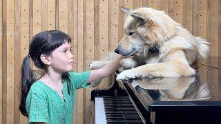 Bach on Piano for Sharky the Dog