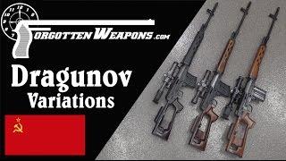 Dragunov Variations Military SVD Izhmash Tiger Chinese NDM-86