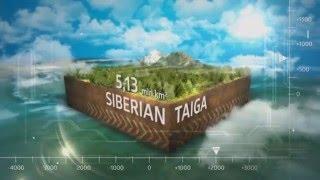 Sibir  - Sibirsko Zdravlje