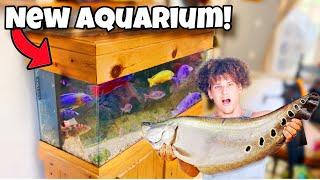 I Bought NEW AQUARIUM For My FISH ROOM