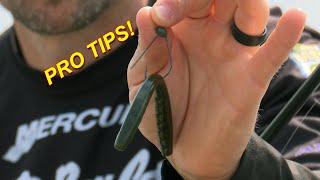 Summer Wacky Rig Worm Catch 10x MORE Bass  Bass Fishing